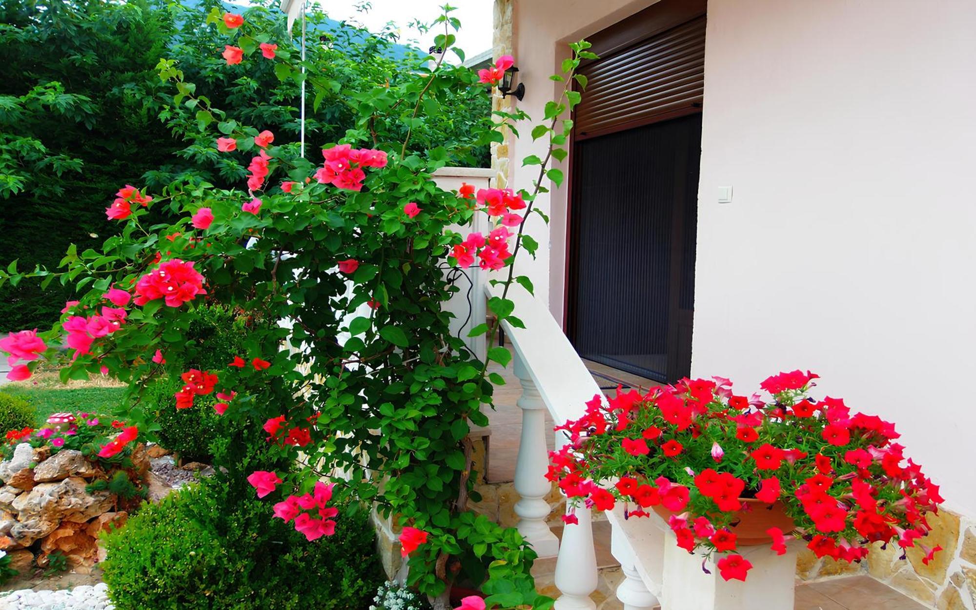 Relax Pozar Hotel Loutraki  Ngoại thất bức ảnh